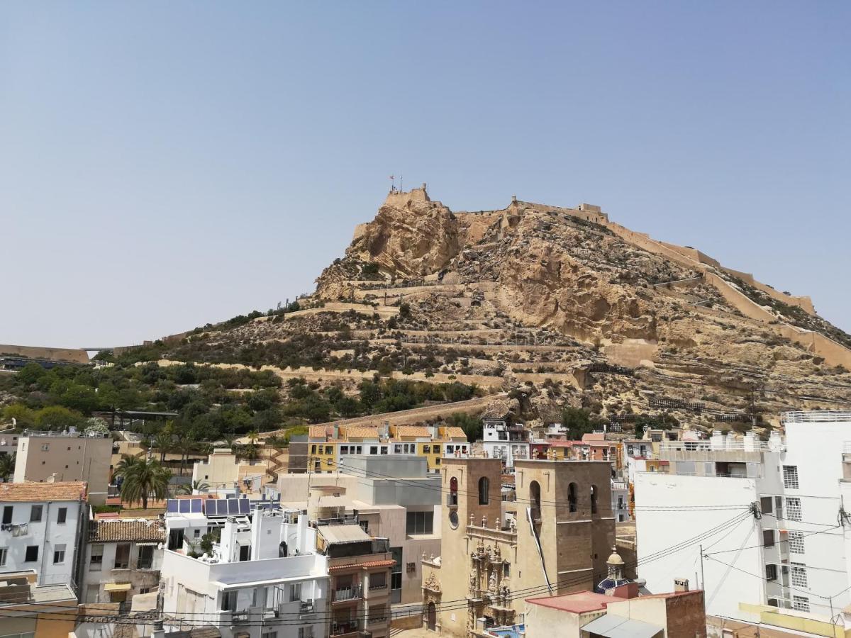 Alexander Apartments لقنت المظهر الخارجي الصورة