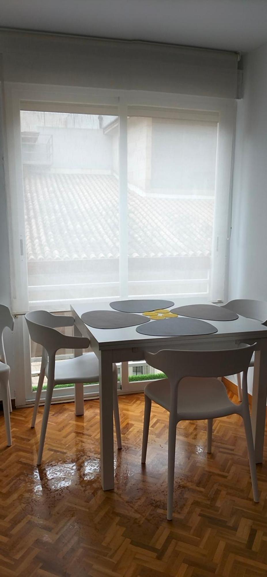 Alexander Apartments لقنت المظهر الخارجي الصورة